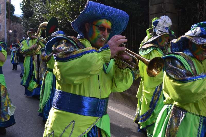 carnevale_porto_ceresio_2014 (059).jpg